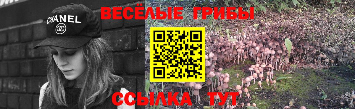 Сургут  продажа наркотиков  Вход с VPN  Галлюциногенные грибы ЛСД 