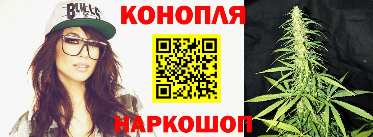 Бошки Шишки конопля  Вход с VPN  Канабис семена  Сургут  Конопля тримм 